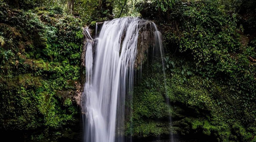 Jim Corbett National Park Wilderness
