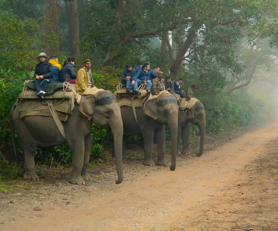 Pawalgarh Zone Jim Corbett
