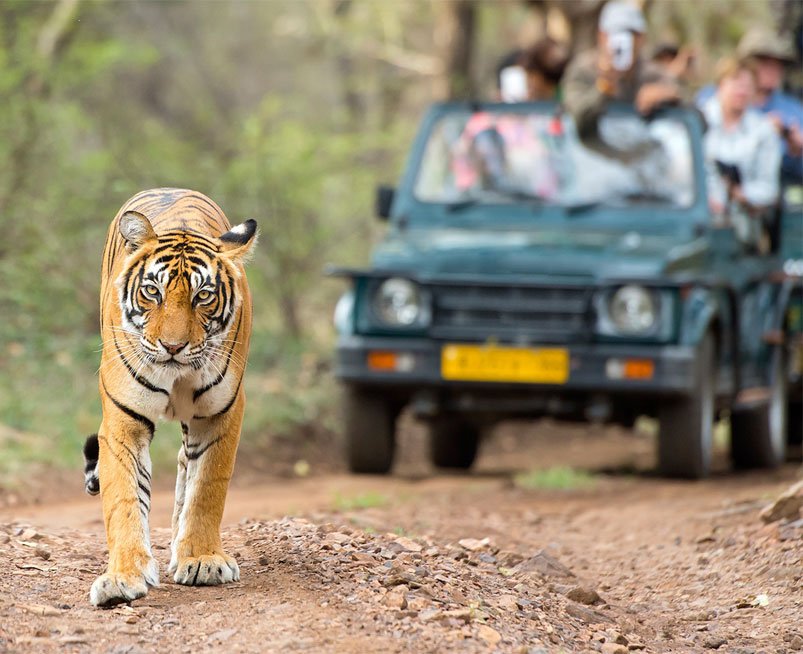 Sitabani Zone Jim Corbett
